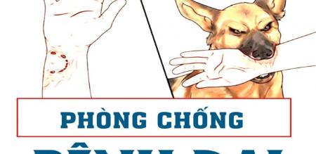 CÁC BIỆN PHÁP PHÒNG BỆNH DẠI CÁC BIỆN PHÁP PHÒNG BỆNH DẠI