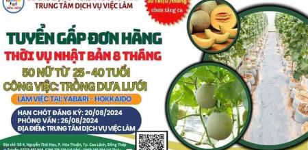 Thông tin về đơn hàng làm việc thời vụ tại Nhật Bản dành cho lao động Nữ Thông tin về đơn hàng làm việc thời vụ tại Nhật Bản dành cho lao động Nữ